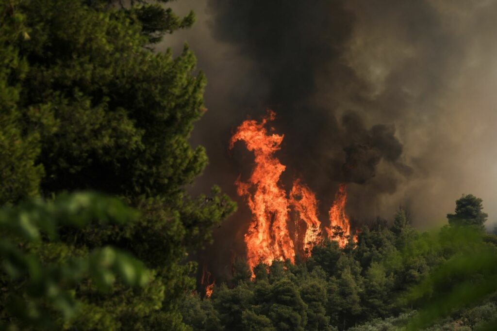Φωτιά στην Ψάθα: Σηκώθηκαν αεροσκάφη για την κατάσβεση
