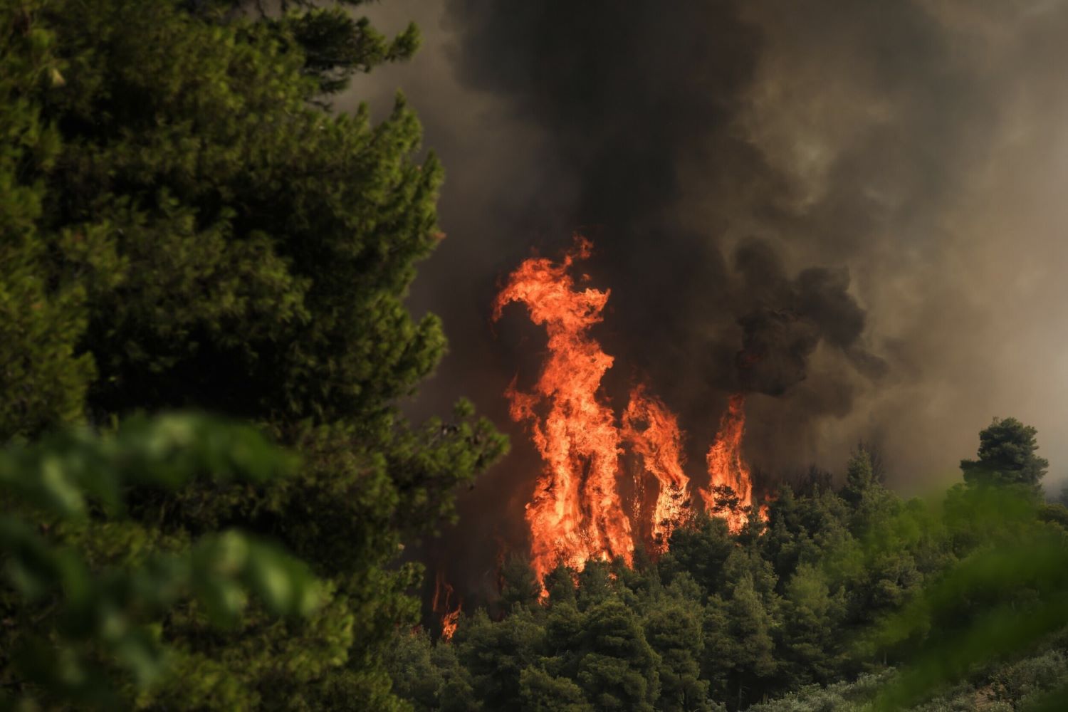 Φωτιά στην Ψάθα: Σηκώθηκαν αεροσκάφη για την κατάσβεση