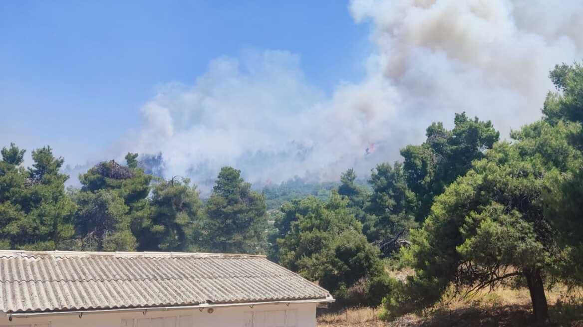 Φωτιά ξέσπασε το μεσημέρι της Πέμπτης (6/7) σε δασική έκταση στο Μαρκόπουλο Ωρωπού.