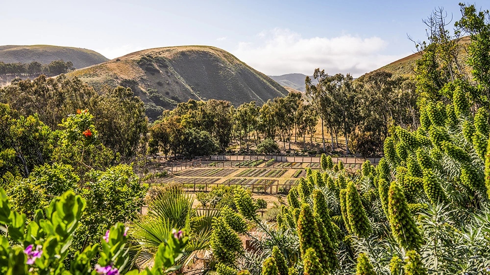 James Cameron: Έβαλε πωλητήριο στο μεγαλειώδες ράντσο του