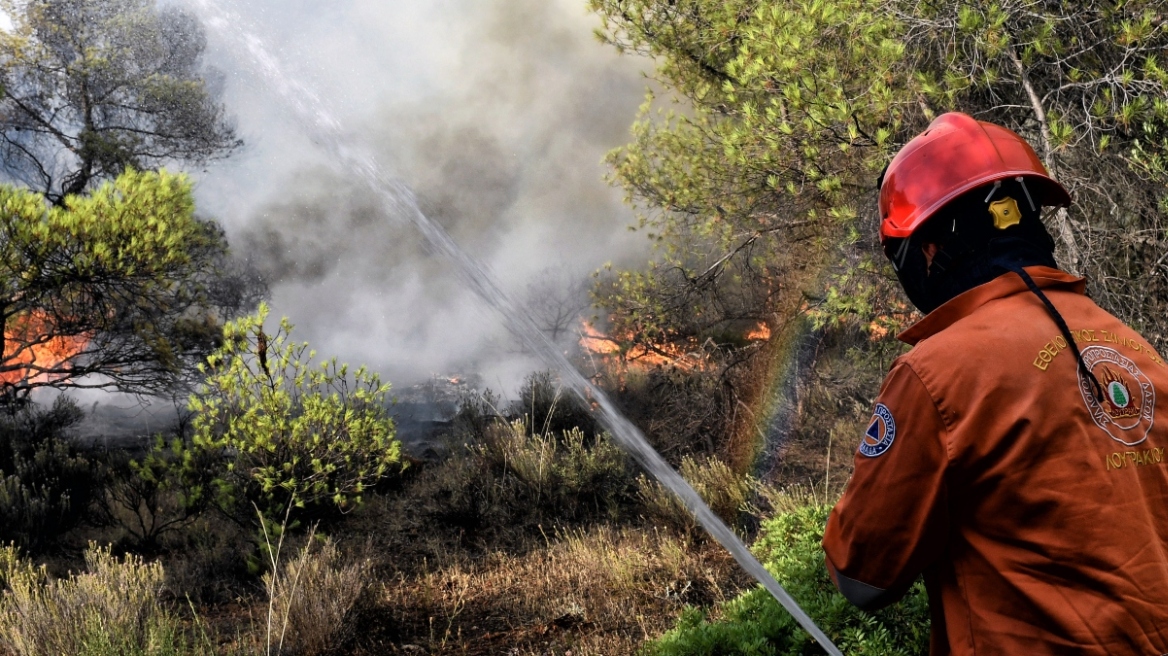 Κρήτη: Πυρκαγιά στην Ιεράπετρα κοντά σε πυρηνελαιουργείο