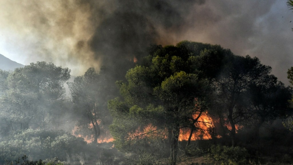 ΠΑΚΟΕ: Οι φωτιές μετατρέπουν την ατμόσφαιρα σε τοξικό κοκτέιλ