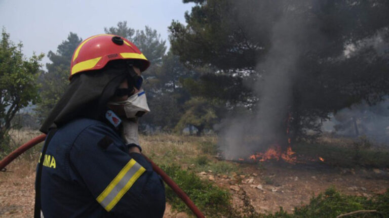 Καίγεται χορτολιβαδική έκταση στην Εύβοια - Μεγάλη κινητοποίηση της πυροσβεστικής