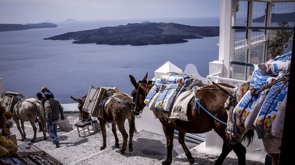 230716175657_santorini_gaidourakia