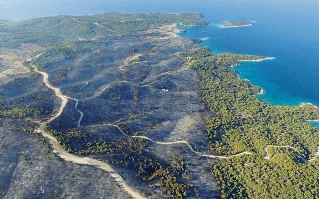 Ποιοι έστησαν τη μεγάλη απάτη με την καμένη περιοχή στην Αργολίδα, που έχει κηρυχθεί αναδασωτέα - Τα ύποπτα συμφέροντα που έχουν επανεμφανιστεί και ψάχνει η Ιντερπολ!