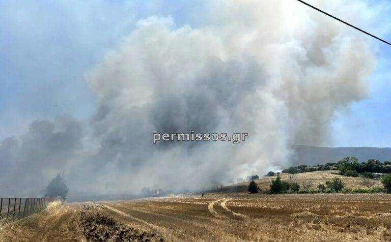 Φωτιά στην Βοιωτία: Ισχυροί άνεμοι σπρώχνουν τις φλόγες στο δάσος