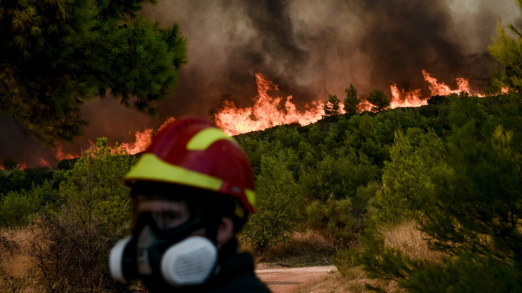 Βασιλακόπουλος για ευπαθείς ομάδες και φωτιές: Μάσκα σε όσους είναι κοντά σε πυρκαγιές