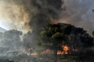 Φωτιά στα Δερβενοχώρια: Μήνυμα του 112 στους κατοίκους για τους καπνούς που πνίγουν την περιοχή