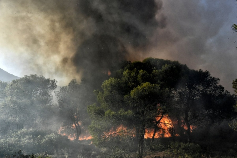 Φωτιά στα Δερβενοχώρια: Μήνυμα του 112 στους κατοίκους για τους καπνούς που πνίγουν την περιοχή