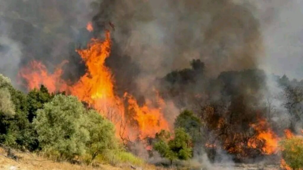 Φωτιά τώρα στη Μεσσηνία