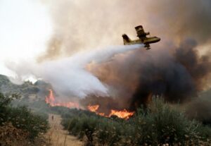 Στις φλόγες χορτολιβαδική έκταση στην Λακωνία – Επιχείρηση κι από αέρος