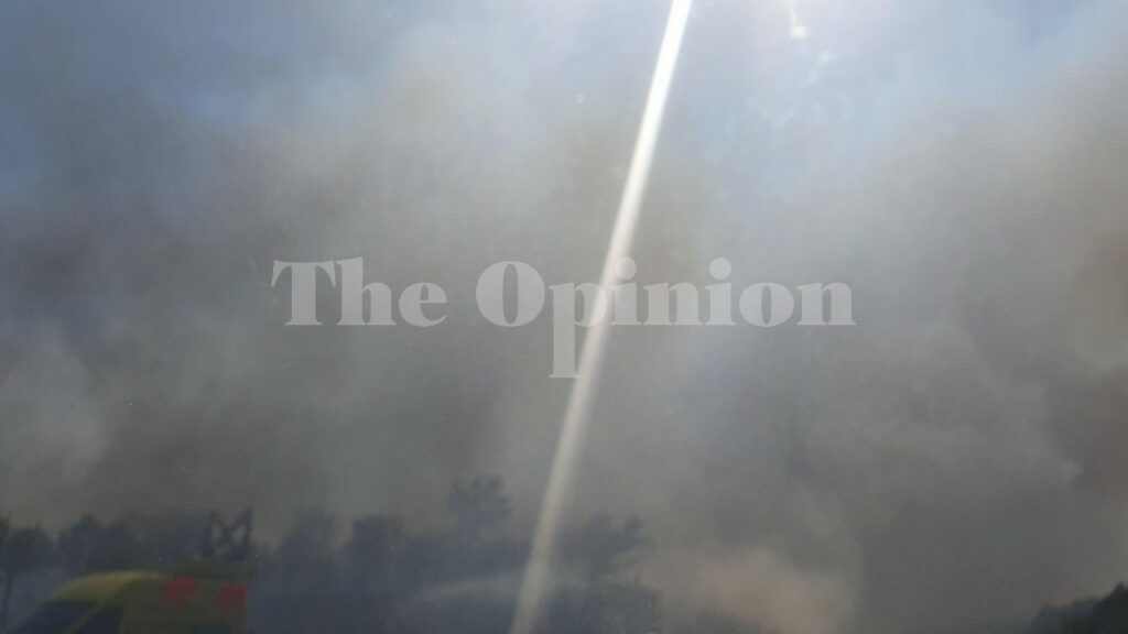 230721165810_fotia-nymfopetra-2