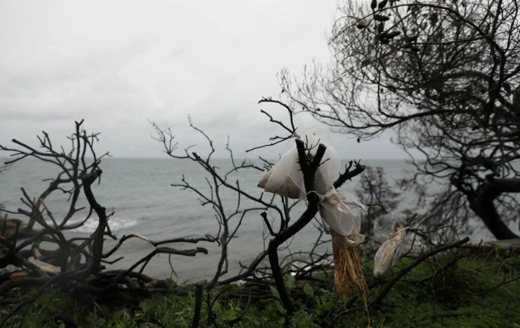 Οι 5 οικισμοί της Αττικής που έχουν τα ίδια χαρακτηριστικά με το Μάτι