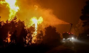 Χειροπέδες σε δύο άνδρες για πρόκληση πυρκαγιά στην Κεφαλονιά