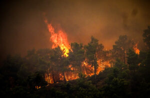Κρήτη: Μεγάλη φωτιά έχει ξεσπάσει στην Ιεράπετρα- Μήνυμα του 112 για εκκένωση της περιοχής