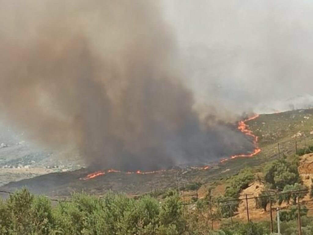 Νεκρός εντοπίστηκε ο αγνοούμενος κτηνοτρόφος στην Κάρυστο