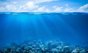 Βράζουν οι ωκεανοί και νεκρώνουν τα κοράλλια λόγω των υψηλών θερμοκρασιών