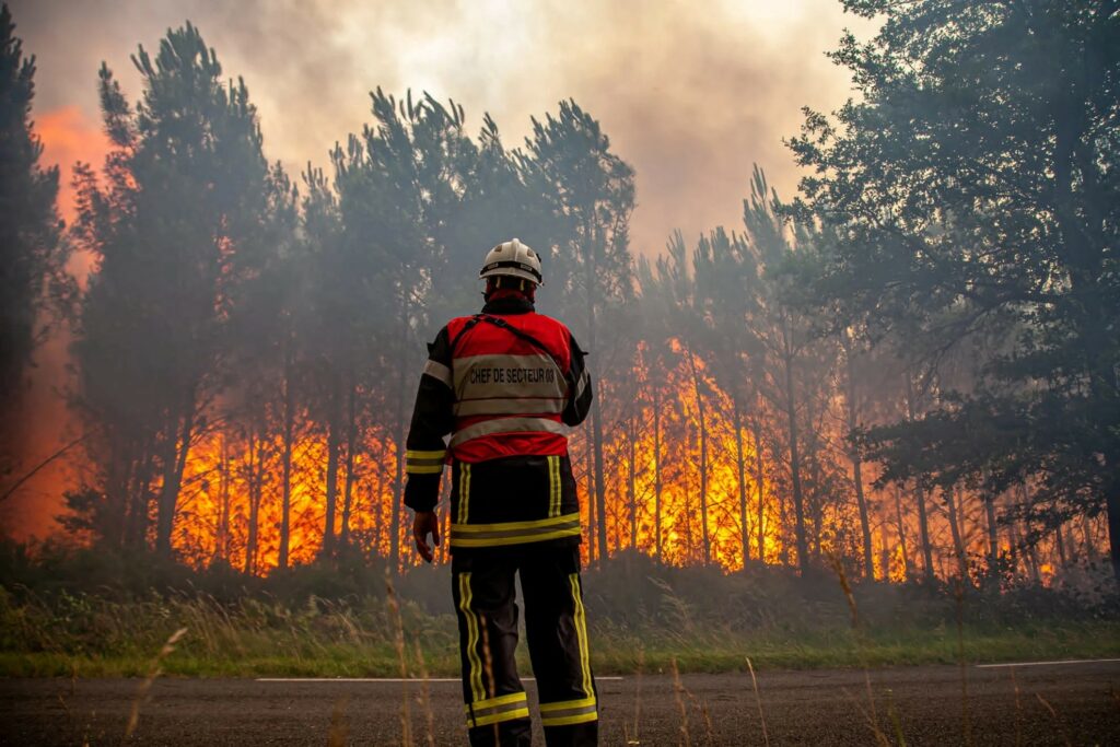 Η χρόνια εγκατάλειψη των δασών, η εγκατάλειψη κτηνοτροφίας και η αστυφιλία, δίνουν την καύσιμη ύλη στις πυρκαγιές