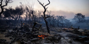 Ευθύμιος Λέκκας: Φοβάμαι ότι με τις φωτιές το περιβαλλοντικό σύστημα της Αττικής θα καταρρεύσει σε λίγο