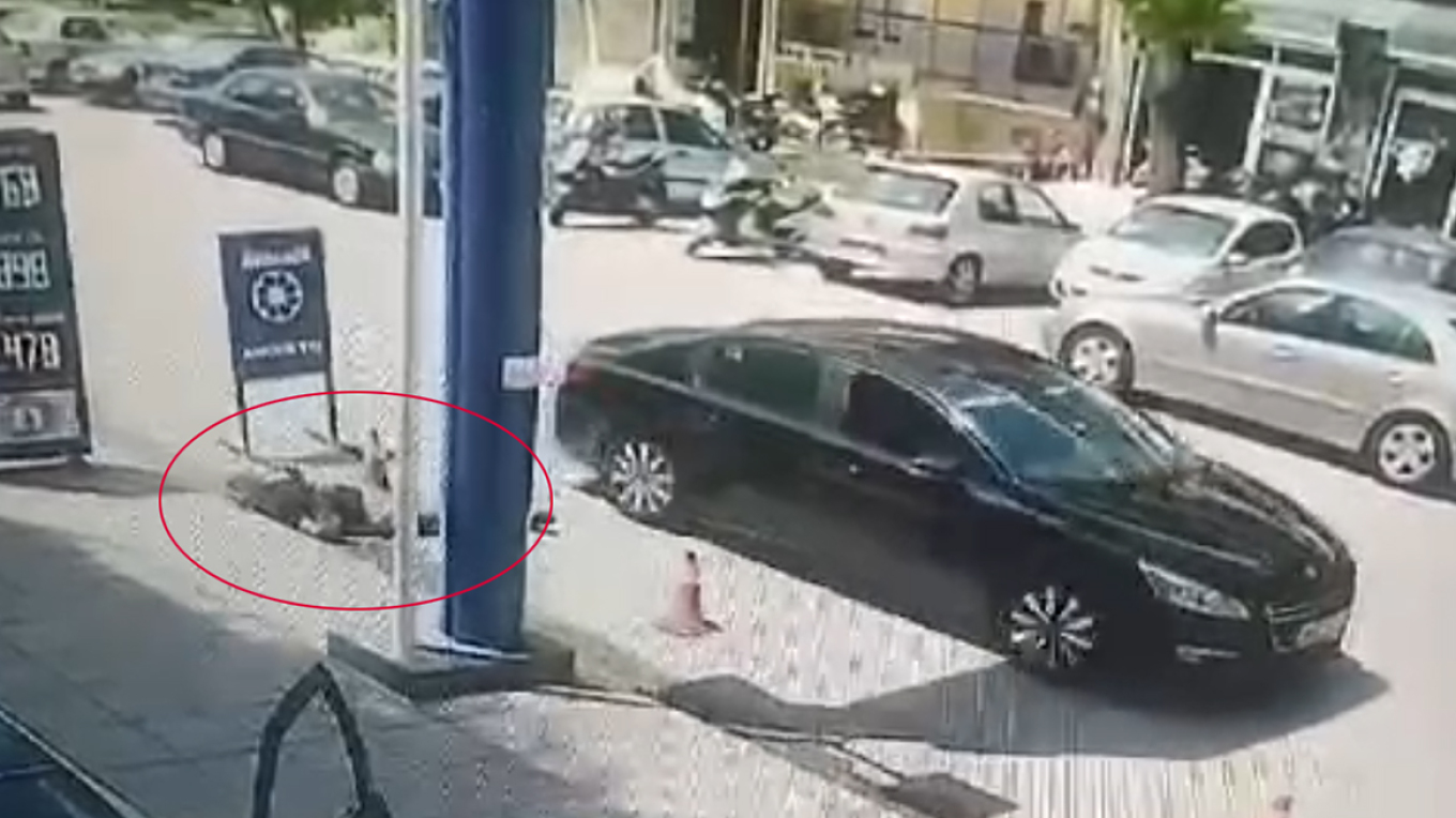 Σοκαριστικό βίντεο: Η στιγμή της δολοφονίας του 50χρονου στη Θεσσαλονίκη