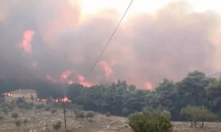 Αλεξανδρούπολη: Δυνάμεις από Κύπρο και Ρουμανία για την κατάσβεση της πυρκαγιάς
