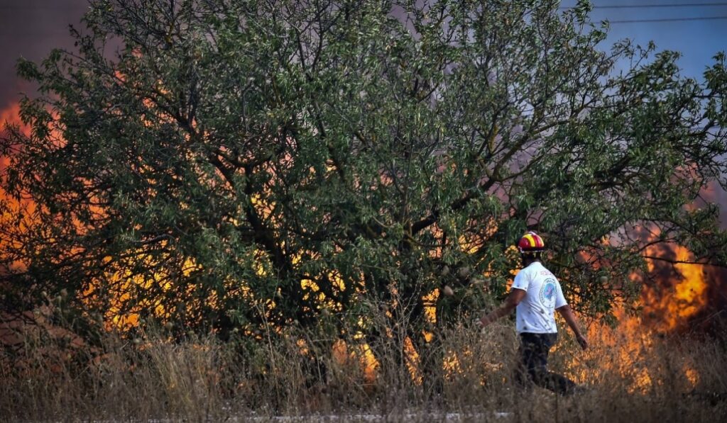 Ιωάννινα: Προφυλακίστηκε ο 57χρονος που συνελήφθη για εμπρησμό στα Τζουμέρκα