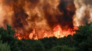 Σοκαριστικός ο αριθμός καμένων περιοχών - Ανείπωτη η καταστροφή από τις πρόσφατες φωτιές στην Ελλάδα