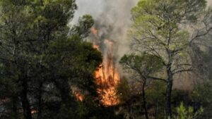 Φωτιά στη Δεσκάτη: Αναζωπυρώθηκε και καίει κοντά σε οικισμό