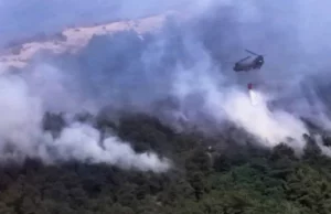 Φωτιά σε χαμηλή βλάστηση στον Έβρο - Μεγάλη κινητοποίηση της Πυροσβεστικής