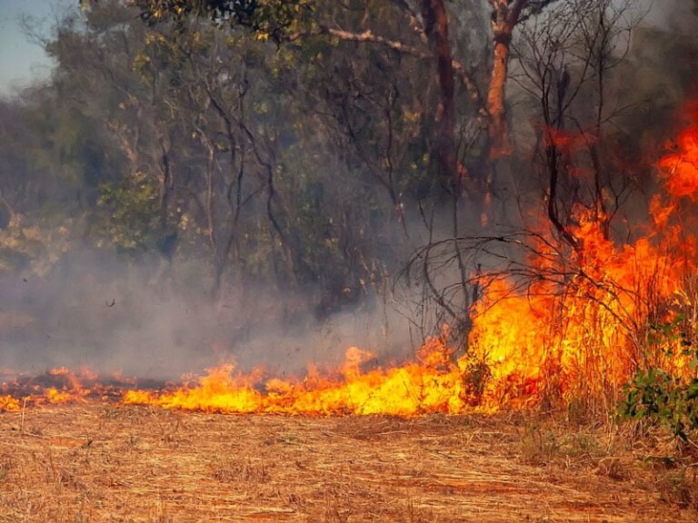 Πορτογαλία: Πυρκαγιά μαίνεται στη νότια μεριά - Απομακρύνθηκαν 1.400 κάτοικοι