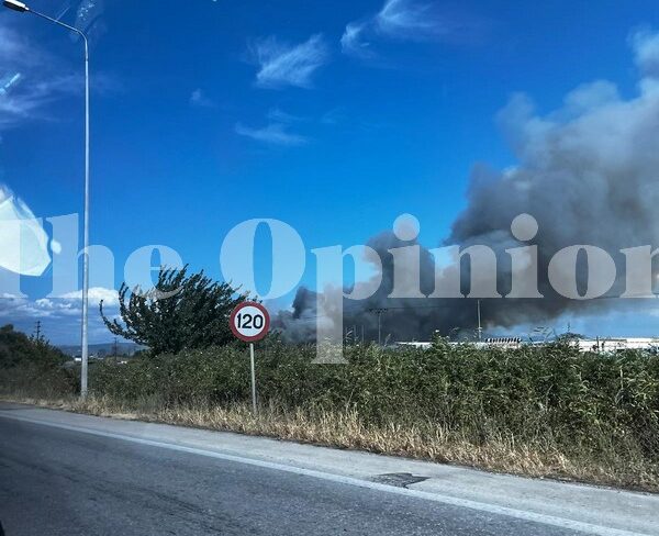 230808172229_fotia-eo3-e1691502798564