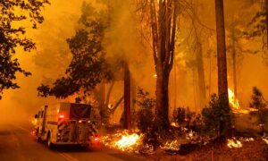 Ισπανία: Κορύφωση του καύσωνα - 150.000 καμένα στρέμματα δασικής γης στην Πορτογαλία