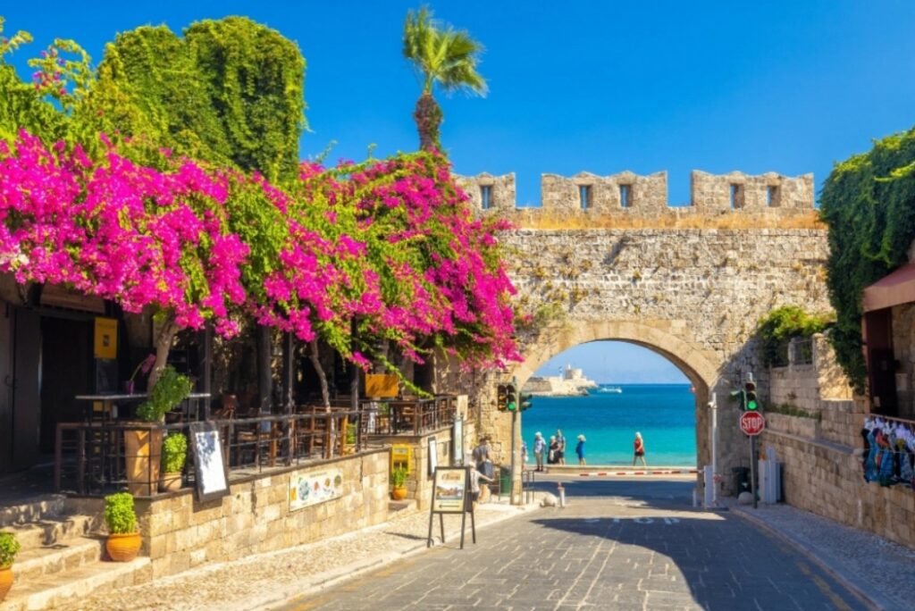 230810084802_rodos