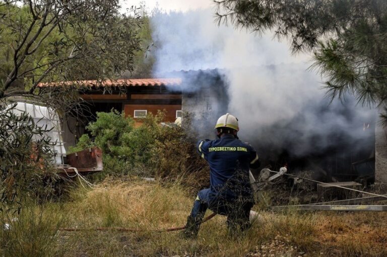 Χαλκιδική: Φωτιά στα Νέα Ρόδα – Συναγερμός στην Πυροσβεστική