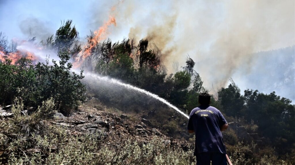 Φωτιά στην Κάρυστο - Συναγερμός στην Πυροσβεστική