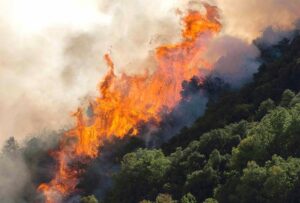 Μεγάλη πυρκαγιά μεταξύ Φθιώτιδας και Βοιωτίας κοντά στο εργοστάσιο της ΛΑΡΚΟ