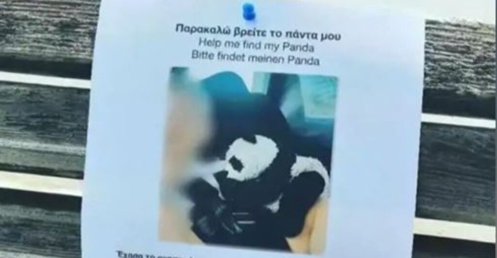 230818080949_panda