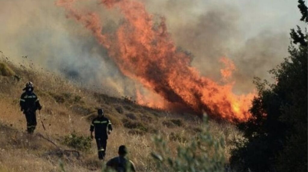Φωτιά στην Αλεξανδρούπολη - Αρτοποιός: Σα να έχουμε έναν ανεμιστήρα που σπρώχνει τη φωτιά σε νέα μέτωπα