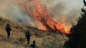 Φωτιά στην Αλεξανδρούπολη - Αρτοποιός: Σα να έχουμε έναν ανεμιστήρα που σπρώχνει τη φωτιά σε νέα μέτωπα