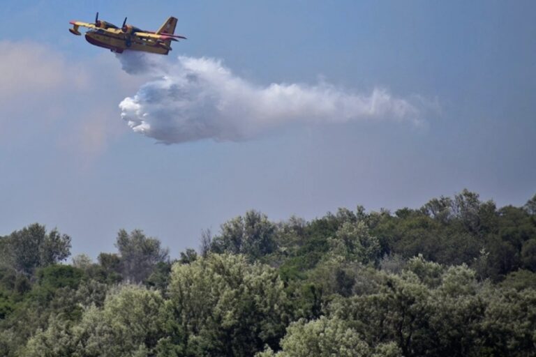 Φωτιά στη Βοιωτία: Μήνυμα από το 112 για εκκένωση οικισμού - Σηκώνονται εναέρια μέσα