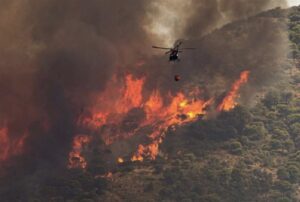 Φωτιά στον Έβρο: Συγκλονιστικό βίντεο από τις τελευταίες στιγμές των 18 μεταναστών που βρέθηκαν απανθρακωμένοι στο δάσος της Δαδιάς