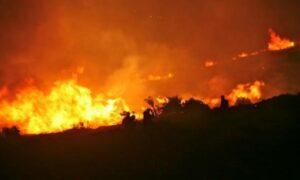 Νέα πυρκαγιά στην Βοιωτία – Καίει σε δύσβατο σημείο και εκκενώνονται περιοχές προς Άσπρα Σπίτια και Κυριάκι