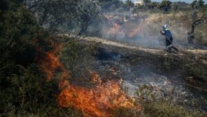 Πυρκαγιά στο δάσος Δαδιάς: Εντοπίστηκαν τουλάχιστον 18 απανθρακωμένοι μετανάστες