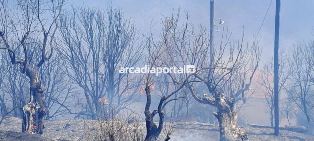 Φωτιά στην Αρκαδία: Καίει κοντά σε κατοικημένη περιοχή