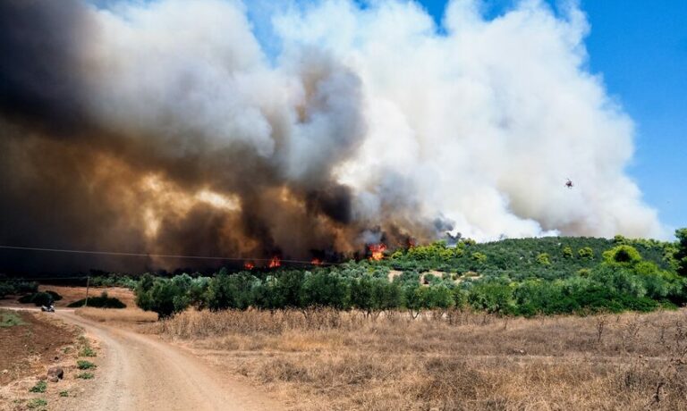 Συνεχίζεται η φωτιά στην Καβάλα - Νέο μήνυμα του 112 για εκκένωση