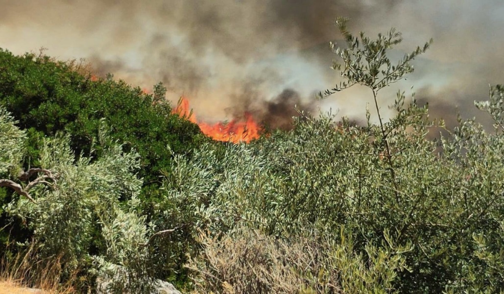 Φωτιά στη Ροδόπη: Εστάλη «112» για εκκένωση του χωριού Κασσιτέρα