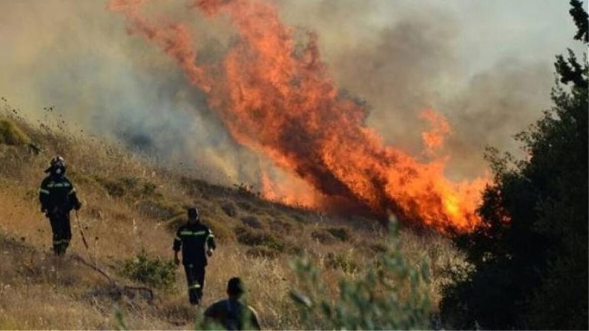 Αλεξανδρούπολη: Η φωτιά εξαπλώνεται με ταχύτητα - Έκκληση σε αγρότες για βοήθεια με βυτιοφόρα οχήματα