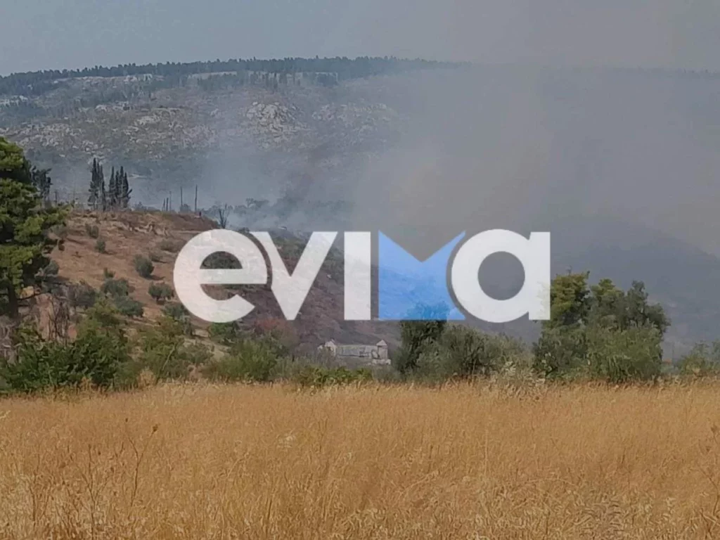 Εύβοια: Νέο πύρινο μέτωπο σε δασική έκταση – Εκκενώνεται ο οικισμός Κοντοδεσπότι
