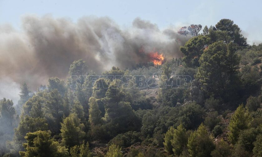 Φωτιά στη Βοιωτία: Δραματική αναζωπύρωση στα Βάγια - Απεγκλώβισαν πατέρα και γιο