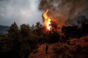 Δήμαρχος Φυλής για φωτιά στην Πάρνηθα: Αποτρέψαμε ανθρώπινες απώλειες
